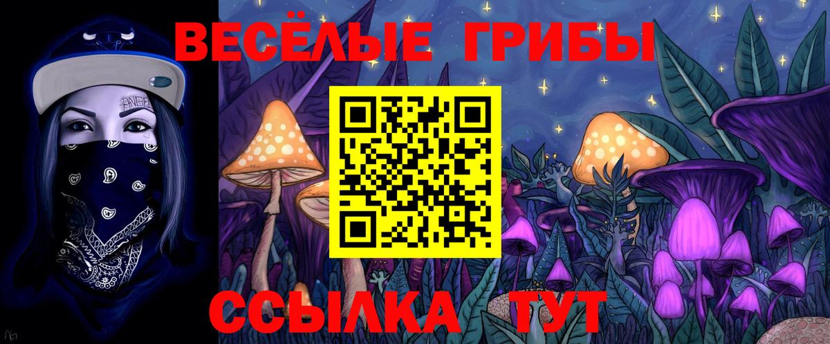 Галлюциногенные грибы ЛСД  Псилоцибиновые грибы прущие грибы  Белгород  Вход с VPN 